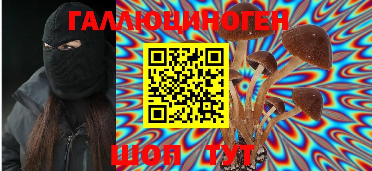 Коркино  Псилоцибиновые грибы Psilocybe  Вход с VPN 